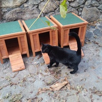 photo de livraison pour U Ghjattinu di Corti