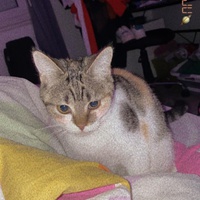 photo de livraison pour Anima'passion
