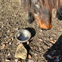photo de livraison pour Refuge du Poil à la Plume