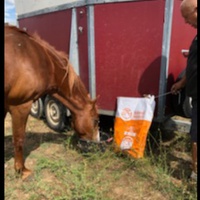 photo de livraison pour Equi-Libre : Droit à la Retraite Equine