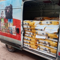 photo de livraison pour 4 Pattes Mogador