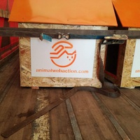 photo de livraison pour Animal Shields Oradea