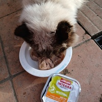 photo de livraison pour SOS COUSSINETS AUDOIS