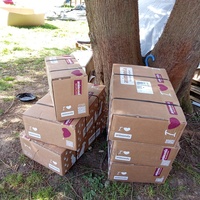 photo de livraison pour Chats Oubliés