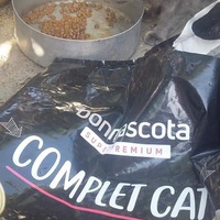 photo de livraison pour Les Chats-Pitresdelavi-Ste
