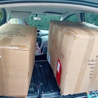 photo de livraison pour Les Félins Concitoyens de Saint Eliph