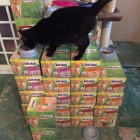 photo de livraison pour Vallée des Chats