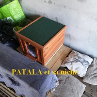 photo de livraison pour U Ghjattinu di Corti