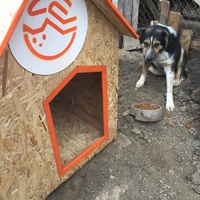 photo de livraison pour Save & Hope for Dogs