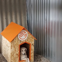 photo de livraison pour Association Lupy Orastie