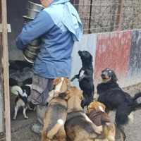 photo de livraison pour Svetlana Bjelogrlic