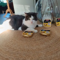 photo de livraison pour Les Moustaches du Bonheur