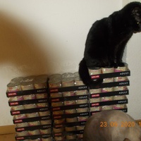 photo de livraison pour Chats Libres des Hauts Cantons de l'Hérault