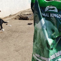 photo de livraison pour Spaske