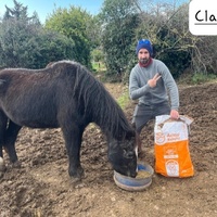 photo de livraison pour La Retraite des Chevaux des Causses
