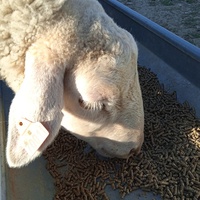 photo de livraison pour La Ferme des Zanimobiles