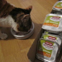 photo de livraison pour Au Bonheur des Chats Libres