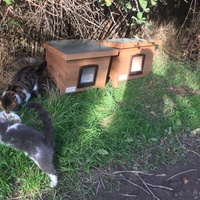 photo de livraison pour Ecole du Chat des Alpilles