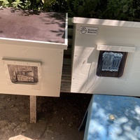 photo de livraison pour Cosette