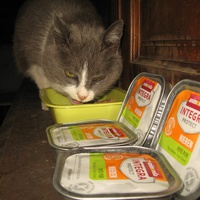 photo de livraison pour Jardin des Chats