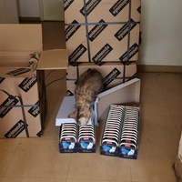 photo de livraison pour Chats Libres des Hauts Cantons de l'Hérault