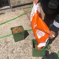 photo de livraison pour Florentina Cioaca