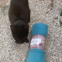 photo de livraison pour Ecole du Chat des Alpilles