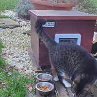 photo de livraison pour Aidons nos Molosses