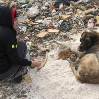 photo de livraison pour Civic Initiative Kane Korzo Skopje