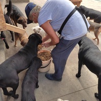 photo de livraison pour Društvo za zaštitu životinja "Bela"