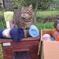 photo de livraison pour Contrôle & Protection des Chats Andréens