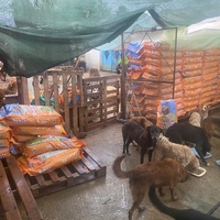 photo de livraison pour ADAN TETOUAN