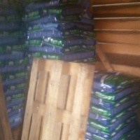 photo de livraison pour Silver Dog Srebrenica