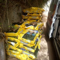 photo de livraison pour Help Adopt Moroccan Animals