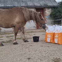 photo de livraison pour À l'Équi-Libre