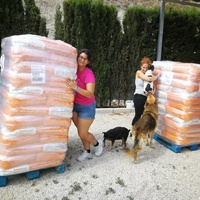 photo de livraison pour Protectors Animal El Hocico