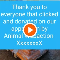 photo de livraison pour Alloue Equine Rescue