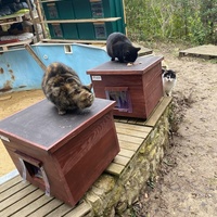 photo de livraison pour Les Chats Perchés de Mirmande