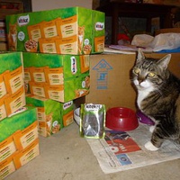 photo de livraison pour Ecole du Chat de la Vallée d'Auge