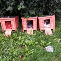 photo de livraison pour Chaperlipopette 77