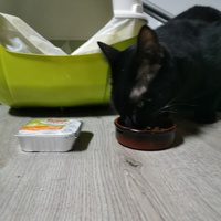 photo de livraison pour Le Resto des Zanimos
