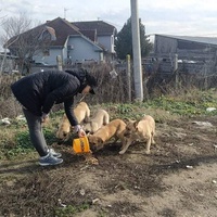 photo de livraison pour Civic Initiative Kane Korzo Skopje