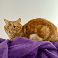 photo de livraison pour L'Arche de Ploum