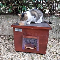 photo de livraison pour Clan du chat libre