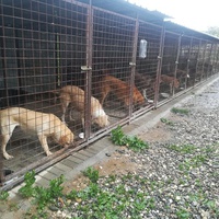 photo de livraison pour Civic Initiative Kane Korzo Skopje