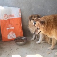 photo de livraison pour Speranta Pentru Animale