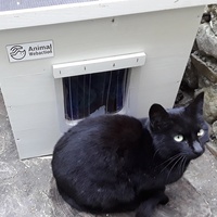 photo de livraison pour Les Chats Perchés de Mirmande