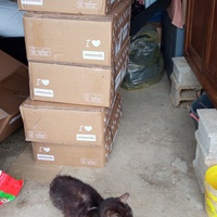 photo de livraison pour Ecole du Chat Libre de Caillerot