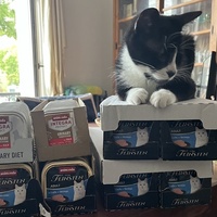 photo de livraison pour Association C.A.T.S. Chat Animal Terrien Solidarité
