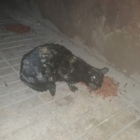 photo de livraison pour Ghita Muller El Jirari